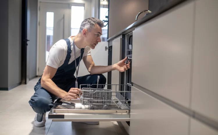  Expert Dishwasher Repair Philadelphia